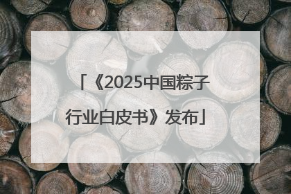 《2025中国粽子行业白皮书》发布