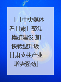 「中央媒体看甘肃」聚焦集群建设 加快转型升级 甘肃支柱产业增势强劲