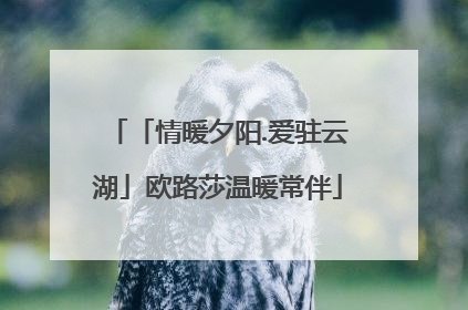「情暖夕阳.爱驻云湖」欧路莎温暖常伴
