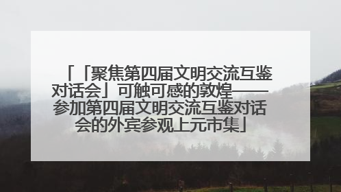 「聚焦第四届文明交流互鉴对话会」可触可感的敦煌——参加第四届文明交流互鉴对话会的外宾参观上元市集