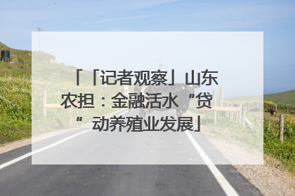 「记者观察」山东农担：金融活水“贷”动养殖业发展