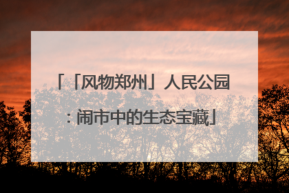 「风物郑州」人民公园：闹市中的生态宝藏