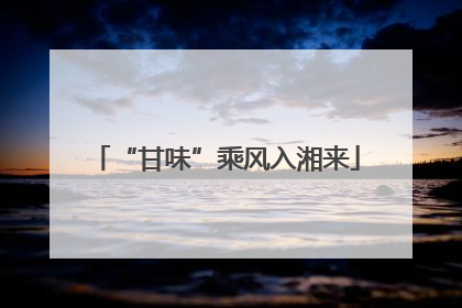 “甘味”乘风入湘来