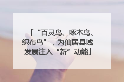 “百灵鸟、啄木鸟、织布鸟”，为仙居县域发展注入“新”动能