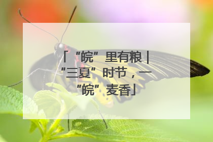 “皖”里有粮｜“三夏”时节，一“皖”麦香