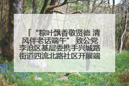 “粽叶飘香敬贤德 清风伴老话端午” 致公党李沧区基层委携手兴城路街道四流北路社区开展端午节主题活动