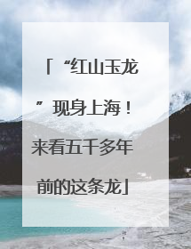 “红山玉龙”现身上海！来看五千多年前的这条龙