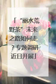 “丽水荒野茶”未来之路如何走？专题调研近日开展