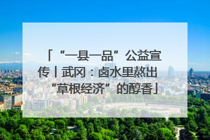 “一县一品”公益宣传丨武冈：卤水里熬出“草根经济”的醇香