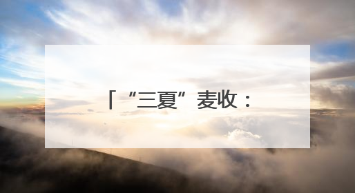 “三夏”麦收：机收“大比武” 减损论“英雄”