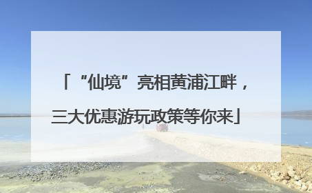 “仙境”亮相黄浦江畔，三大优惠游玩政策等你来