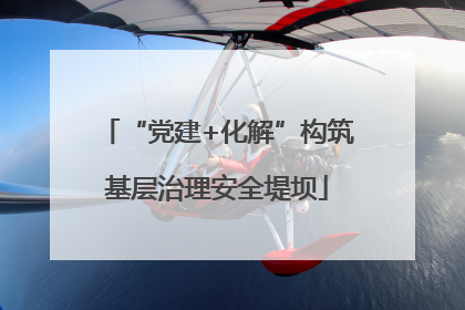 “党建+化解”构筑基层治理安全堤坝
