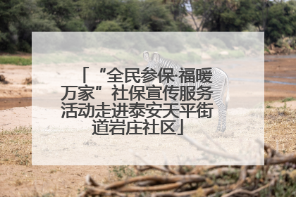 “全民参保·福暖万家”社保宣传服务活动走进泰安天平街道岩庄社区