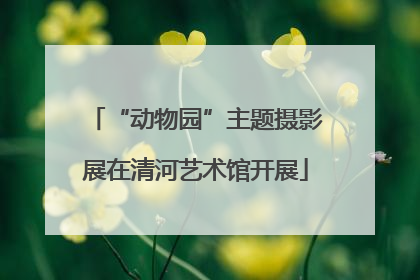 “动物园”主题摄影展在清河艺术馆开展