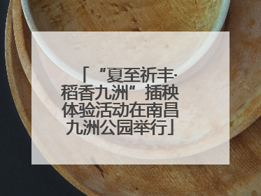 “夏至祈丰·稻香九洲”插秧体验活动在南昌九洲公园举行