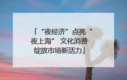 “夜经济”点亮“夜上海” 文化消费绽放市场新活力