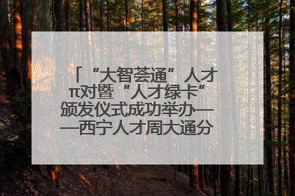 “大智荟通”人才π对暨“人才绿卡”颁发仪式成功举办——西宁人才周大通分会场亮点纷呈