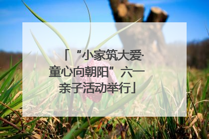 “小家筑大爱·童心向朝阳”六一亲子活动举行