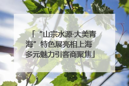 “山宗水源·大美青海”特色展亮相上海 多元魅力引客商聚焦