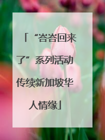“峇峇回来了”系列活动传续新加坡华人情缘