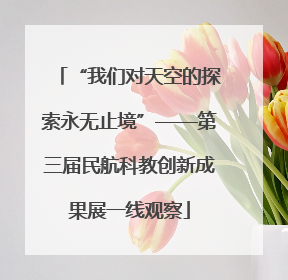 “我们对天空的探索永无止境”——第三届民航科教创新成果展一线观察