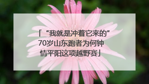 “我就是冲着它来的” 70岁山东跑者为何钟情平阳这项越野赛