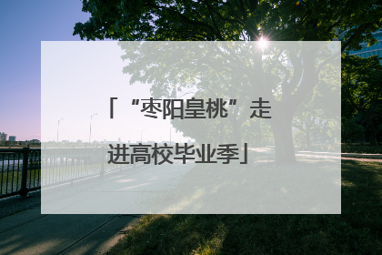 “枣阳皇桃”走进高校毕业季