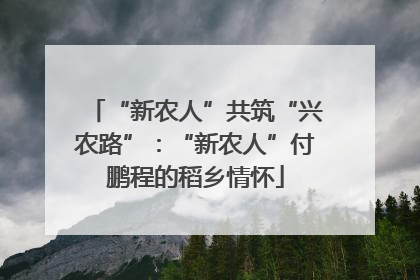 “新农人”共筑“兴农路”：“新农人”付鹏程的稻乡情怀