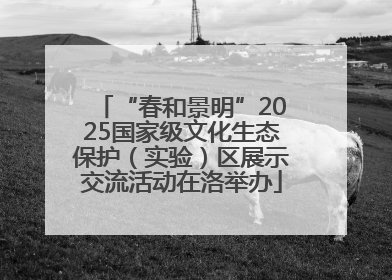 “春和景明”2025国家级文化生态保护（实验）区展示交流活动在洛举办