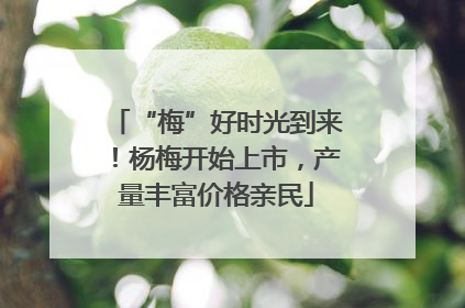 “梅”好时光到来！杨梅开始上市，产量丰富价格亲民