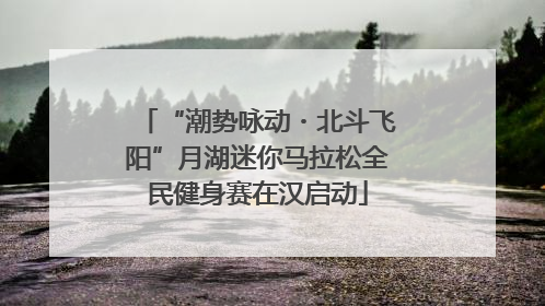 “潮势咏动・北斗飞阳”月湖迷你马拉松全民健身赛在汉启动
