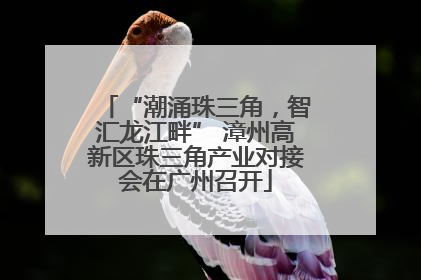 “潮涌珠三角，智汇龙江畔” 漳州高新区珠三角产业对接会在广州召开