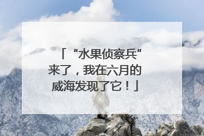“水果侦察兵”来了，我在六月的威海发现了它！