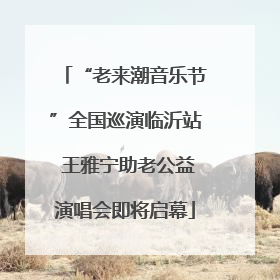 “老来潮音乐节”全国巡演临沂站 王雅宁助老公益演唱会即将启幕