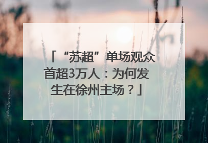 “苏超”单场观众首超3万人：为何发生在徐州主场？