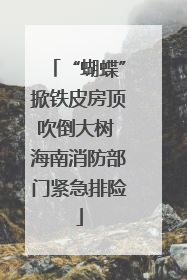 “蝴蝶”掀铁皮房顶吹倒大树 海南消防部门紧急排险