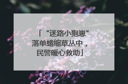 “迷路小狍崽”落单蜷缩草丛中，民警暖心救助