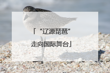 “辽源琵琶” 走向国际舞台