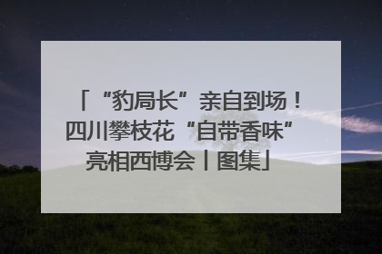 “豹局长”亲自到场！四川攀枝花“自带香味”亮相西博会丨图集