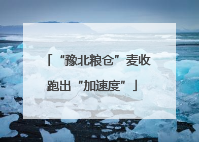 “豫北粮仓”麦收跑出“加速度”
