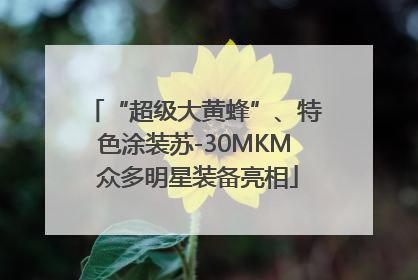 “超级大黄蜂”、特色涂装苏-30MKM 众多明星装备亮相