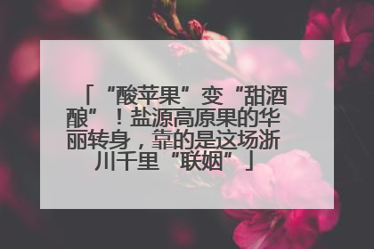 “酸苹果”变“甜酒酿”！盐源高原果的华丽转身，靠的是这场浙川千里“联姻”