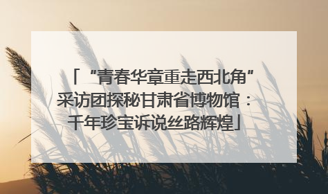 “青春华章重走西北角”采访团探秘甘肃省博物馆：千年珍宝诉说丝路辉煌