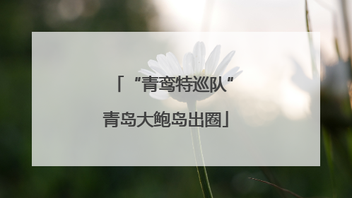 “青鸾特巡队”青岛大鲍岛出圈