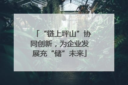 “链上坪山”协同创新，为企业发展充“储”未来