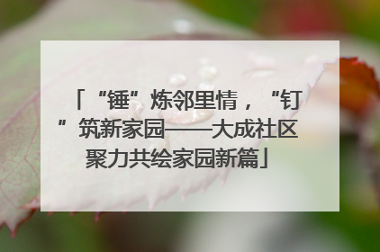 “锤”炼邻里情，“钉”筑新家园——大成社区聚力共绘家园新篇