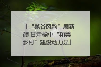 “龛谷风韵”展新颜 甘肃榆中“和美乡村”建设动力足
