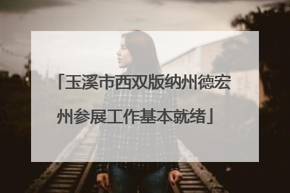 玉溪市西双版纳州德宏州参展工作基本就绪
