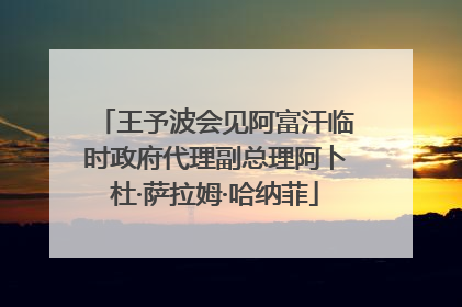 王予波会见阿富汗临时政府代理副总理阿卜杜·萨拉姆·哈纳菲