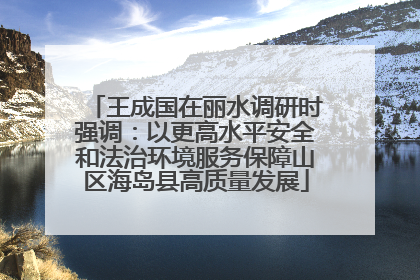 王成国在丽水调研时强调：以更高水平安全和法治环境服务保障山区海岛县高质量发展